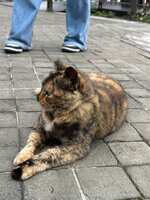 https://images.plurk.com/5hHDrK6Lm011N59O66qdNG.jpg