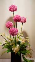 https://images.plurk.com/5hOMV8V2gesjIsxmjYAPvf.jpg