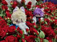 https://images.plurk.com/5hUn9ax3favBIxbh2t8pQD.jpg