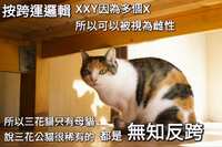 https://images.plurk.com/5hZWRTMl02GIQt6raxwDUH.jpg
