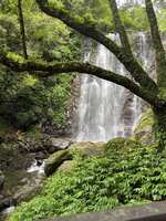 https://images.plurk.com/5hckwMOEFAN6JPRiDS9ku3.jpg