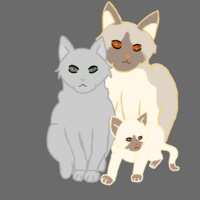 https://images.plurk.com/5hfL0Ki6IXdSS7VqxHsVn9.png