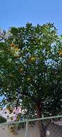 https://images.plurk.com/5hfNug8PUNgy3c9ysgVTSX.jpg
