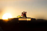 https://images.plurk.com/5hmvM35BApd9B89GnHDboA.jpg