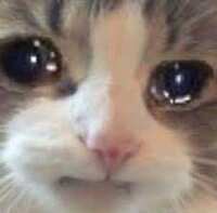 https://images.plurk.com/5i0ilvprIeZkckHvSOugt2.jpg