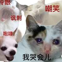 https://images.plurk.com/5i2KfpBFHG3j78uZGL1HEu.jpg