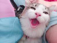 https://images.plurk.com/5i69TU4wYo0GROa4eFk60f.jpg