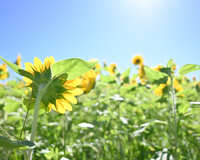 https://images.plurk.com/5iCfOX63Fb5x5YgmPOaKZM.jpg