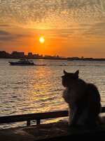 https://images.plurk.com/5iHjB9z13AvKLnEKOMWdek.jpg