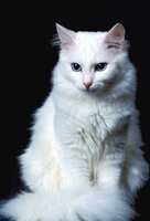 https://images.plurk.com/5iI8xq0q1hUGOSlyQdfmn4.jpg