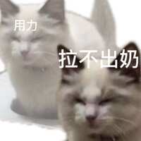 https://images.plurk.com/5iRFwqO285wIkps2eLNXkV.jpg