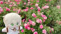 https://images.plurk.com/5iRSYfQTGMF3L7WrHQKH1g.jpg