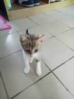 https://images.plurk.com/5iT2TQ4Y4LNTLDnY0VZPQm.jpg