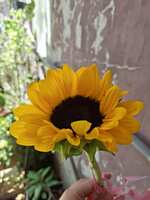 https://images.plurk.com/5iV4nOeDO7E7YtvmaUjYQD.jpg