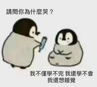 https://images.plurk.com/5iWqFQKHkyG3Sjqxi6SUEL.jpg