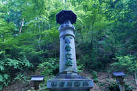 https://images.plurk.com/5ihrjCJdgbIQ8O5T1HMNJt.jpg
