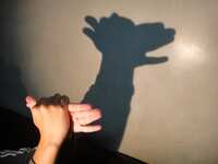 https://images.plurk.com/5ikSqeHy1VDb6BbqQGygZX.jpg