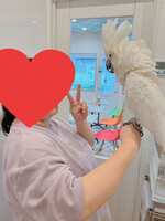 https://images.plurk.com/5ircf6QNSiAch3X1KtlIqw.jpg