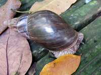 https://images.plurk.com/5itwFJMaFgBlJ9678LkLmH.jpg