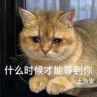 https://images.plurk.com/5ivt42QkxcLJ9tHFbe37RS.jpg