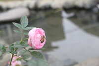 https://images.plurk.com/5j65cjUwnEUfqMeUv8BEFV.jpg