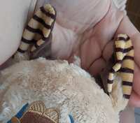 https://images.plurk.com/5jBfoGlRP1YYpnVx00hl7a.jpg