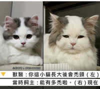 https://images.plurk.com/5jGDUDCi0ncQ2h4NWnCe3P.jpg