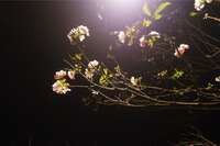 https://images.plurk.com/5jdAfGpzQFewPROUj8gm58.jpg