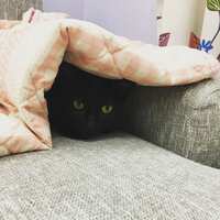 https://images.plurk.com/5jg96U33Y4KeSyY8mVnQCG.jpg