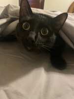 https://images.plurk.com/5jsmgw4p49ZxgR4BwNN0ww.jpg