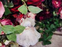 https://images.plurk.com/5jtJgJfoen1UGkHu9v6DQZ.jpg