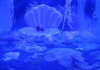 https://images.plurk.com/5jvMKtpDwAv8T7tCw9kGrN.jpg