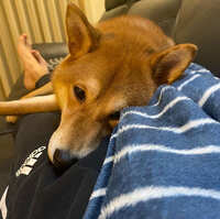 https://images.plurk.com/5jvVfJxCevlxyIZcT439TK.jpg