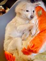 https://images.plurk.com/5k2fzvVDWuwCwGn2nw8iIy.jpg