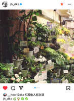 https://images.plurk.com/5k6i6FauLGNkjxPLO5AmGO.jpg