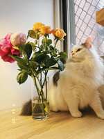 https://images.plurk.com/5kJswG9SI3Zi0UbdRLlaSd.jpg