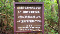https://images.plurk.com/5kRs8X04UWGt62OX7hDz4a.jpg