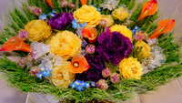 https://images.plurk.com/5kRu0Exhgsz4e669vWI9hX.jpg
