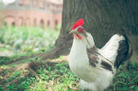 https://images.plurk.com/5kbMlMwX5MGQ6dnMBLVbcx.jpg