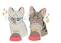 https://images.plurk.com/5kcQV8o1EsvKIIqKXX3Wlb.jpg