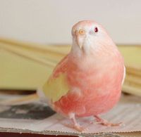 https://images.plurk.com/5kg3sCIwPZ6saWZlN414n3.jpg