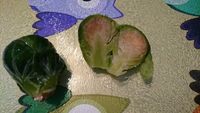 https://images.plurk.com/5khqW7cBFiUoGuJ5sRJ00J.jpg