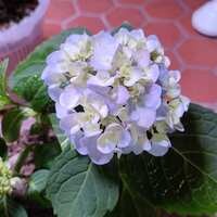 https://images.plurk.com/5kkGRaXTOknsfNbryZ37iW.jpg