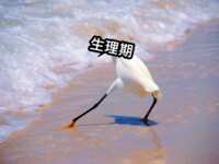 https://images.plurk.com/5l1WFaS0EwIMVJMdSOtxED.png