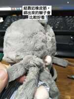 https://images.plurk.com/5l36R18isHb3FNoUaFGWxd.jpg