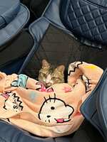 https://images.plurk.com/5l6Y5dOyFDp0A9Zz8J5jJD.jpg