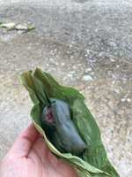 https://images.plurk.com/5l8JZnVg0NpzZSGFQGpJ6R.jpg