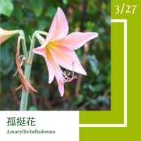 https://images.plurk.com/5lFpBuBKmdbzCV5tSg7Eqx.png