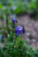 https://images.plurk.com/5lK872rpd6PIs6yQDPHW9N.jpg