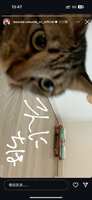 https://images.plurk.com/5lKIPG5Bcqo7MkfmWiqmCm.png